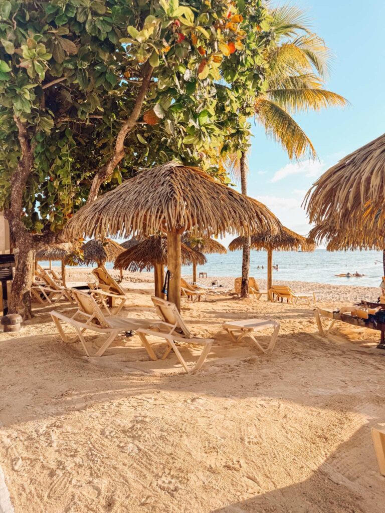 20250521_090720_06FB9A