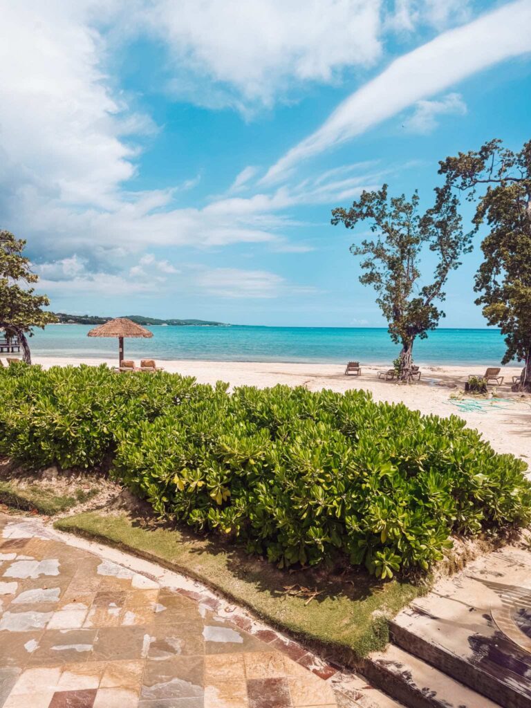 20250521_090720_0DD618